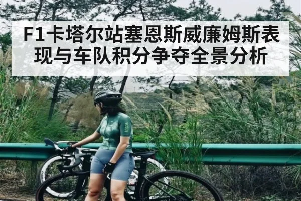 F1卡塔尔站塞恩斯威廉姆斯表现与车队积分争夺全景分析（hth）