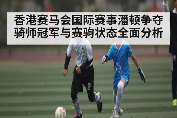 香港赛马会国际赛事潘顿争夺骑师冠军与赛驹状态全面分析（hth）