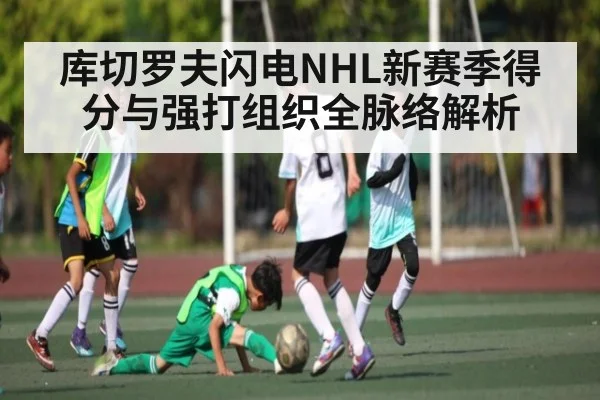 库切罗夫闪电NHL新赛季得分与强打组织全脉络解析（hth）
